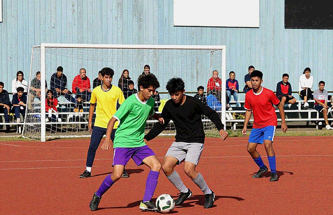 ফাঁকা গ্যালারি, ভরা হিসাব: এমএলবি ওয়াইল্ড কার্ড সিরিজে ১২ দলের পথ ও প্লে-অফ ক্যালেন্ডার